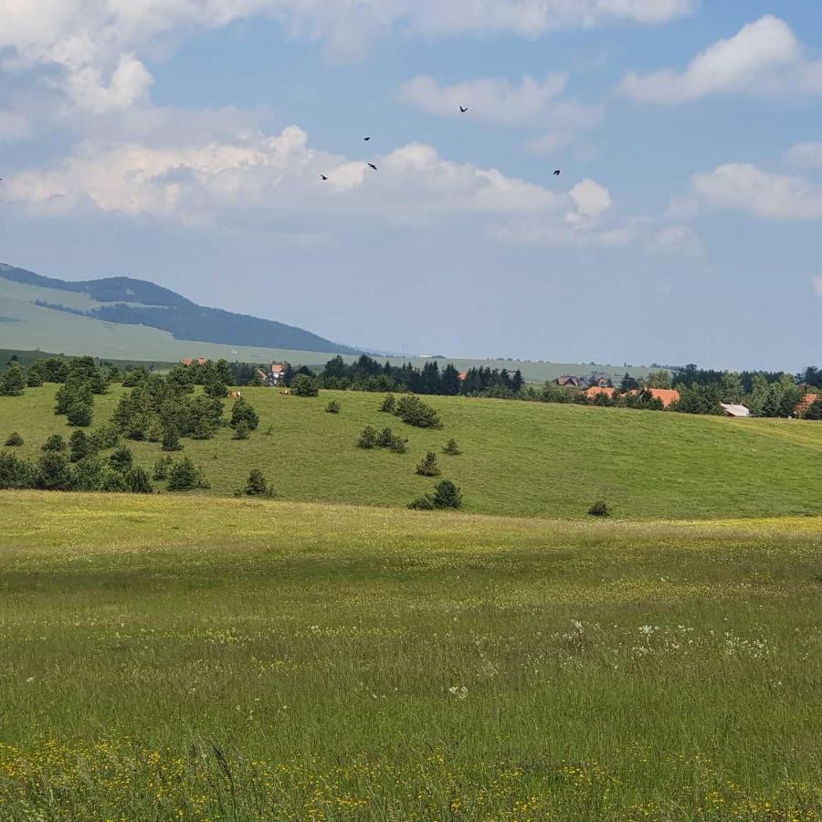 Willa Planinska Kuca Sa Dvoristem Zlatibor Zewnętrze zdjęcie